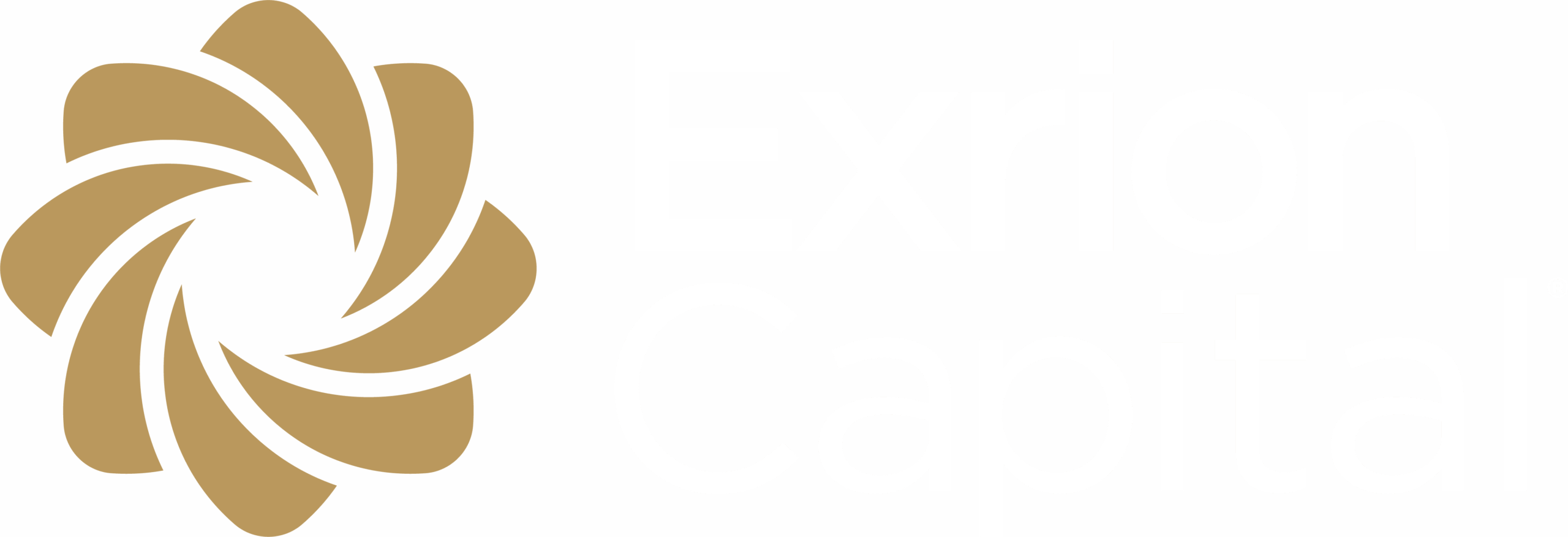 Exrion Capital